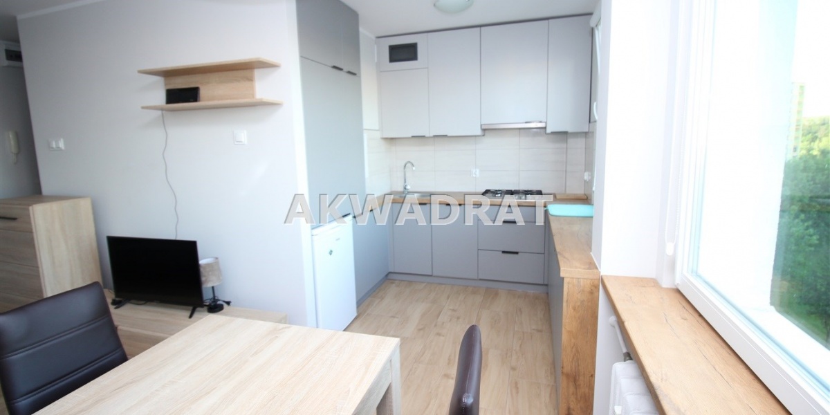 Wałbrzych, Podzamcze, 2 Rooms Rooms,1 BathroomBathrooms,Mieszkania,Wynajem,Palisadowa,1822