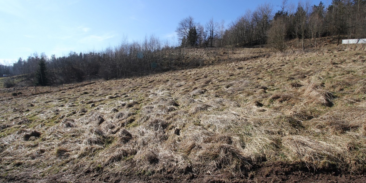 Działki,Sprzedaż,1845