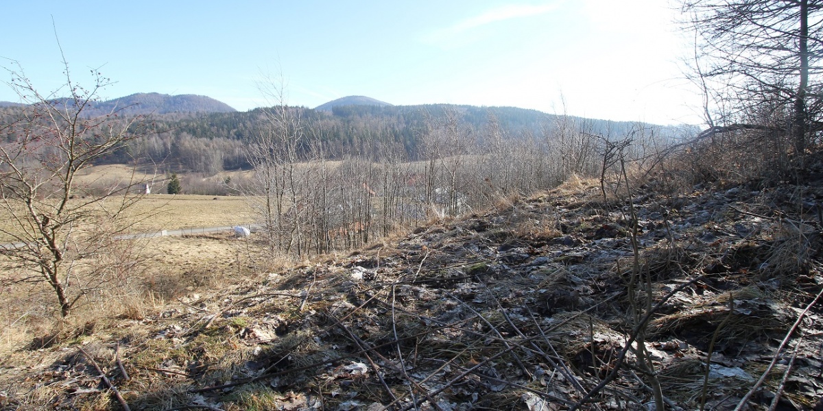 Działki,Sprzedaż,1845