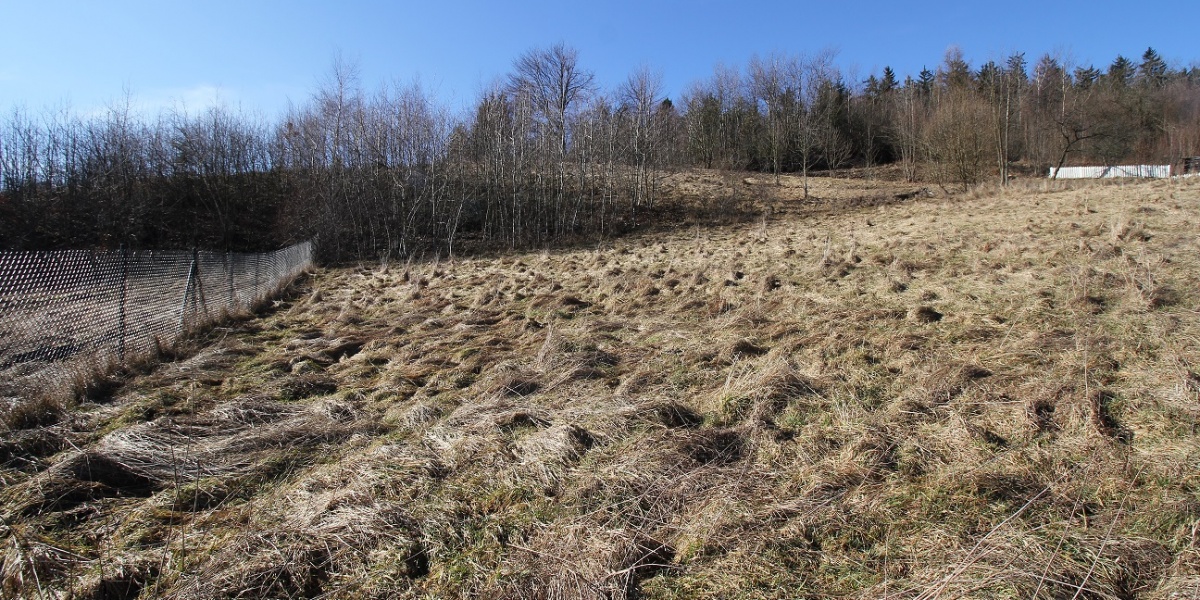 Działki,Sprzedaż,1845