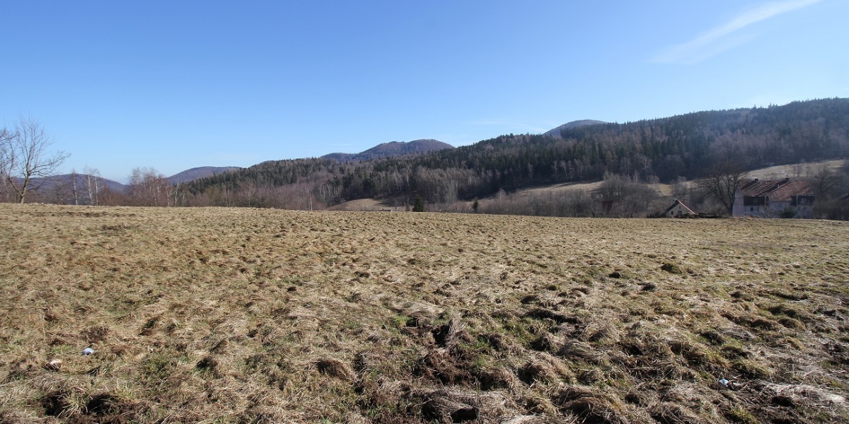 Działki,Sprzedaż,1845