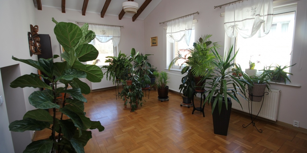 5 Rooms Rooms,2 BathroomsBathrooms,Domy,Sprzedaż,1857