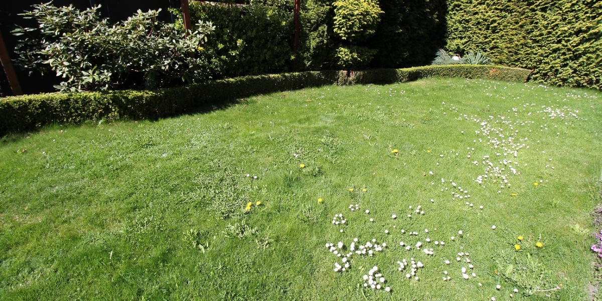 5 Rooms Rooms,2 BathroomsBathrooms,Domy,Sprzedaż,1857